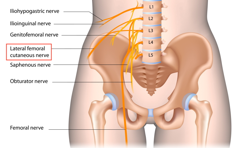 Female inner thigh online pain