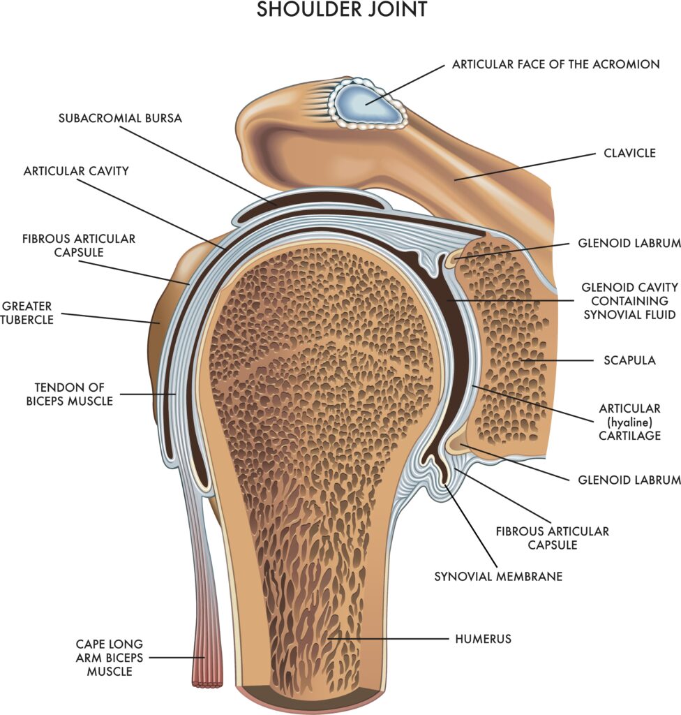 Causes of Shoulder Pain Without Injury