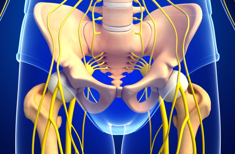 Mean sacral, shoulder, and buttock/thigh pressures